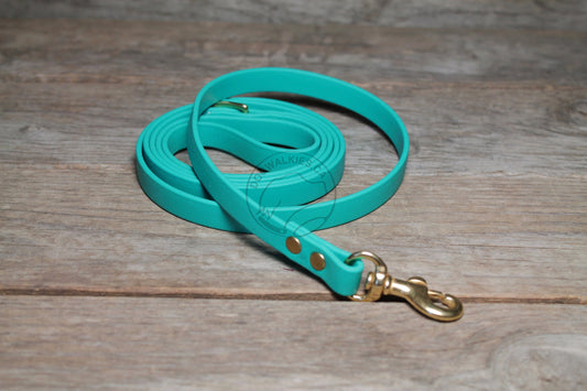 Teal Biothane Small Dog Leash
