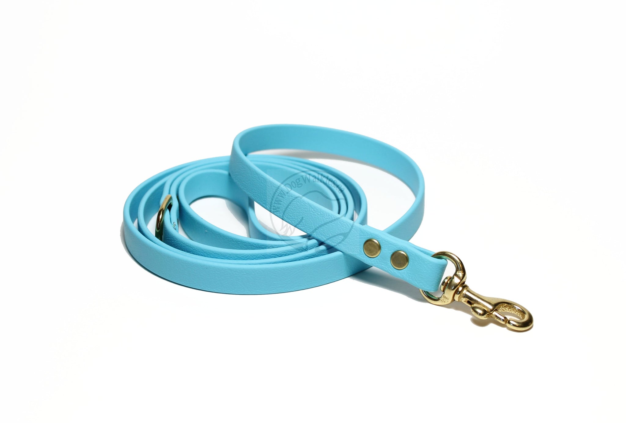 Frozen Blue Biothane Small Dog Leash