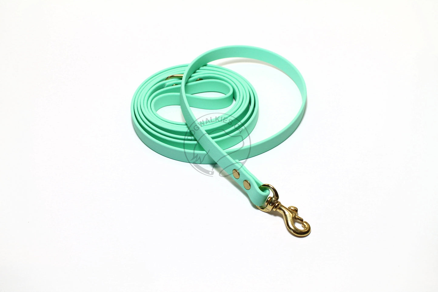 Sea Foam Pastel Green Biothane Small Dog Leash
