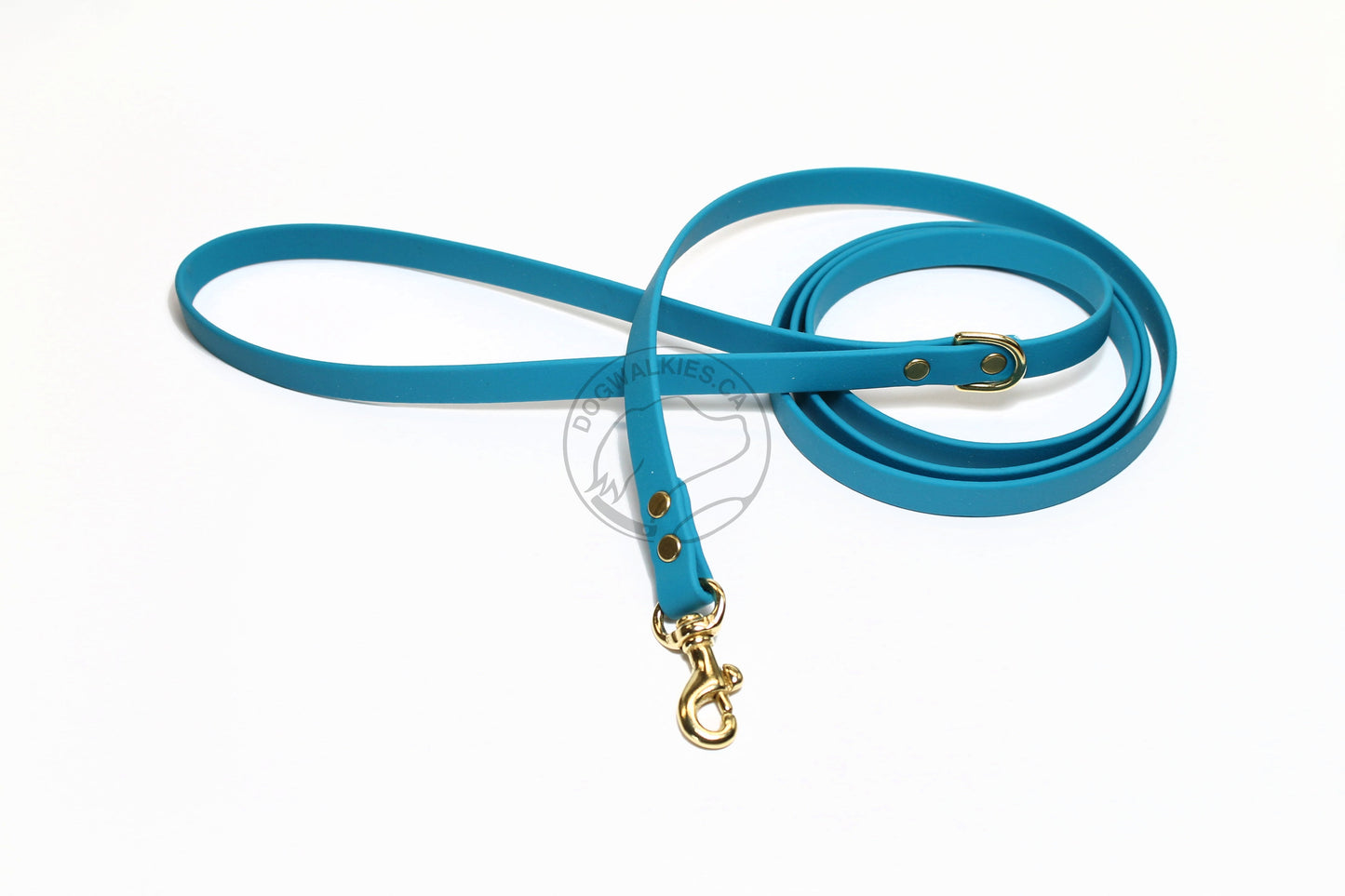 Oasis Blue Biothane Small Dog Leash