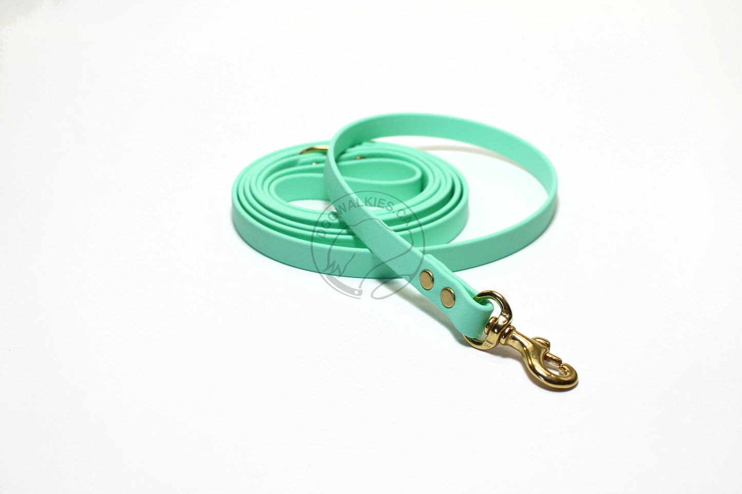 Sea Foam Pastel Green Biothane Small Dog Leash
