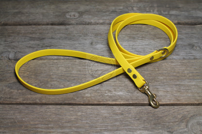 Sunflower Yellow Biothane Small Dog Leash