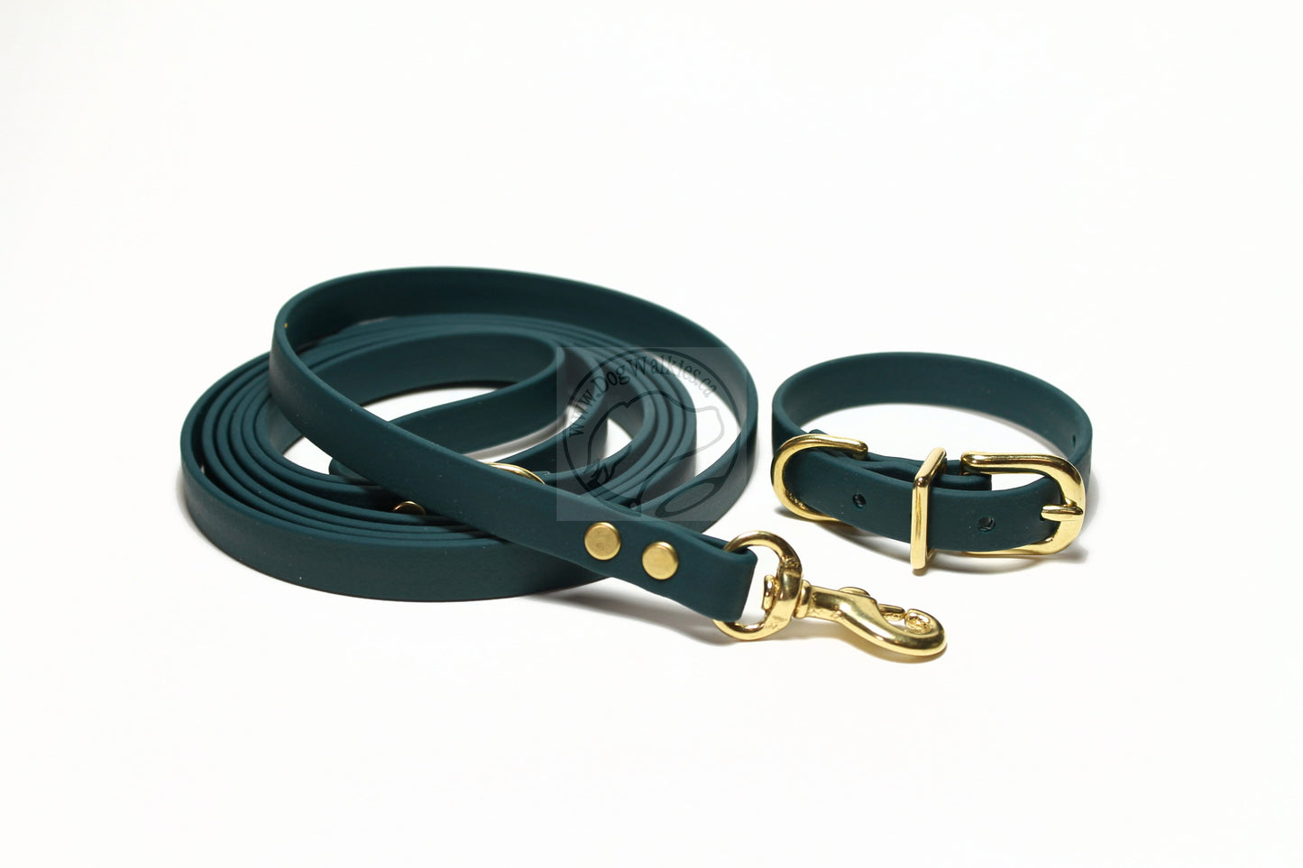 Pine Green Biothane Small Dog Leash