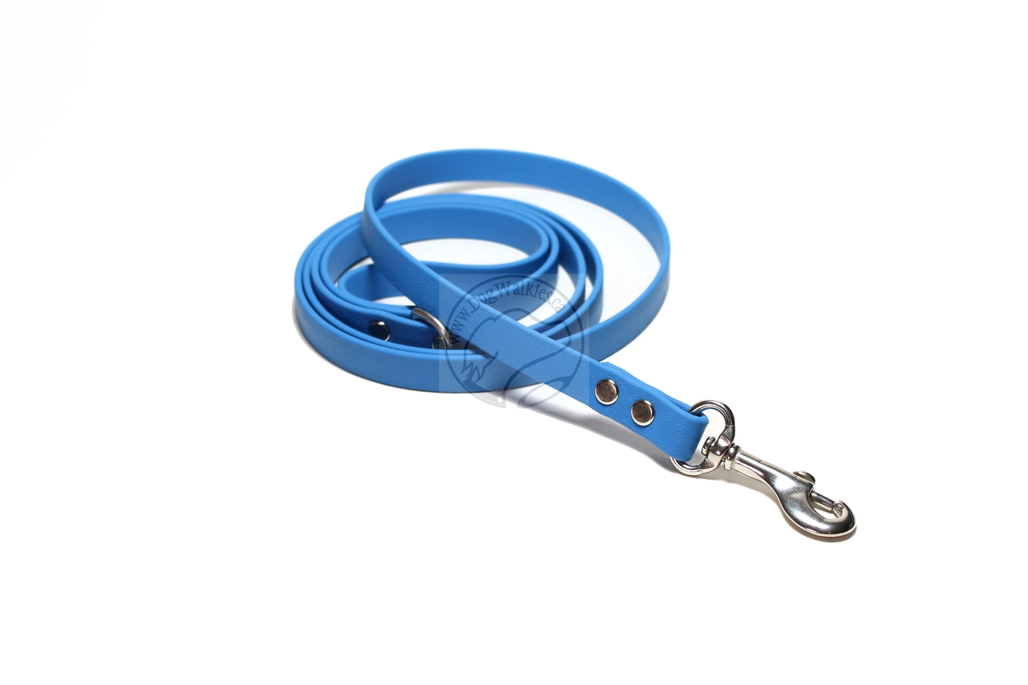 Caribbean Blue Biothane Small Dog Leash