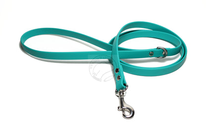 Teal Biothane Small Dog Leash