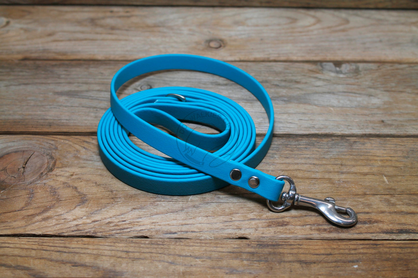 Oasis Blue Biothane Small Dog Leash