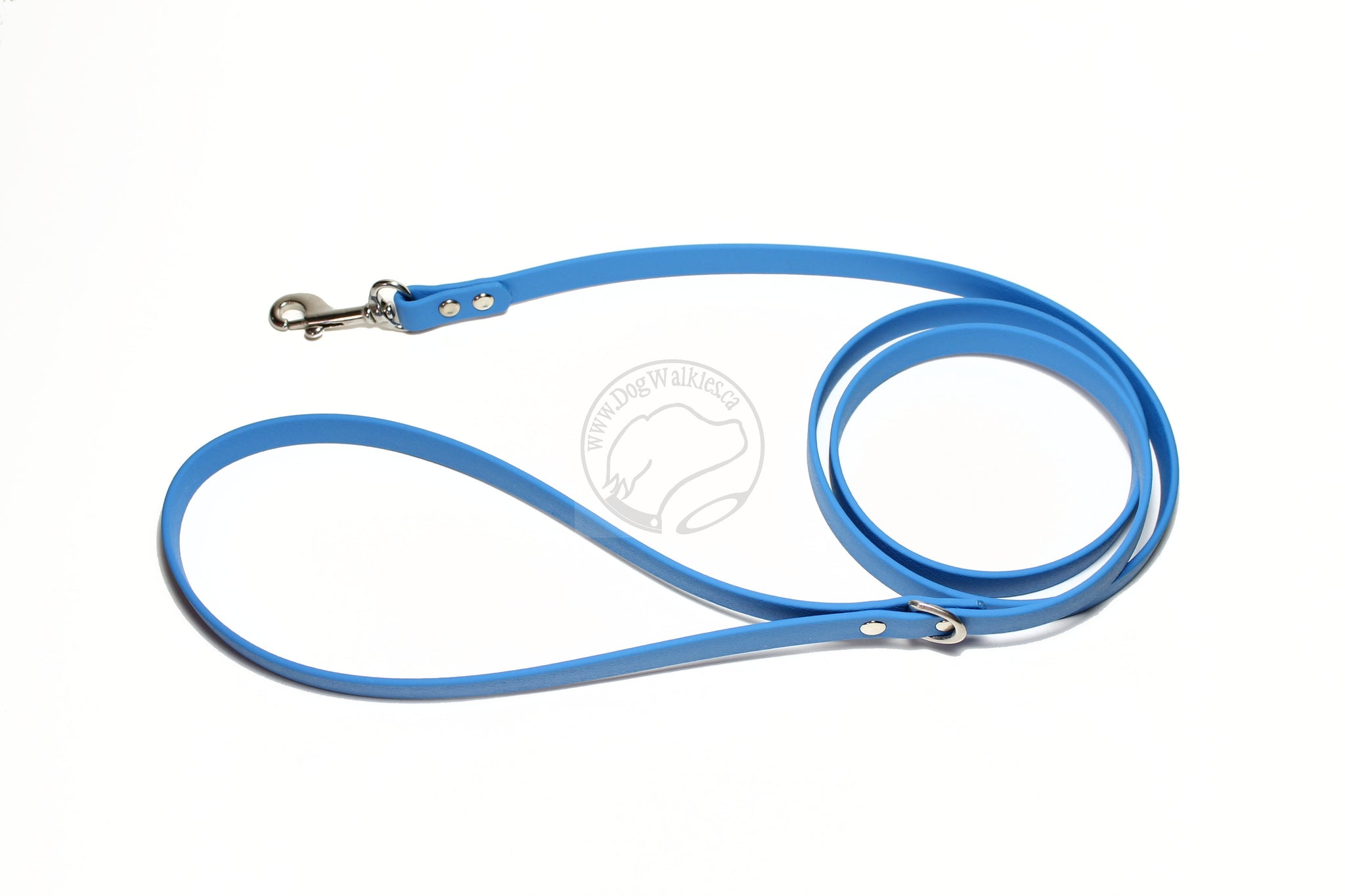 Caribbean Blue Biothane Small Dog Leash