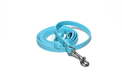 Frozen Blue Biothane Small Dog Leash
