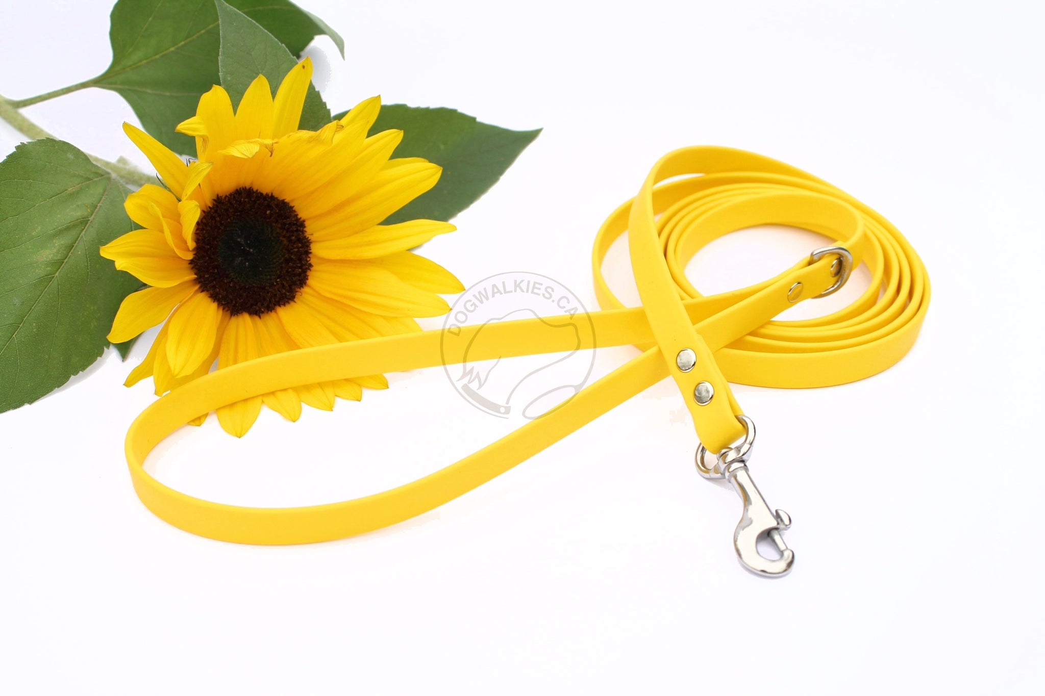 Sunflower Yellow Biothane Small Dog Leash