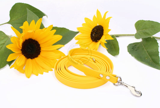 Sunflower Yellow Biothane Small Dog Leash