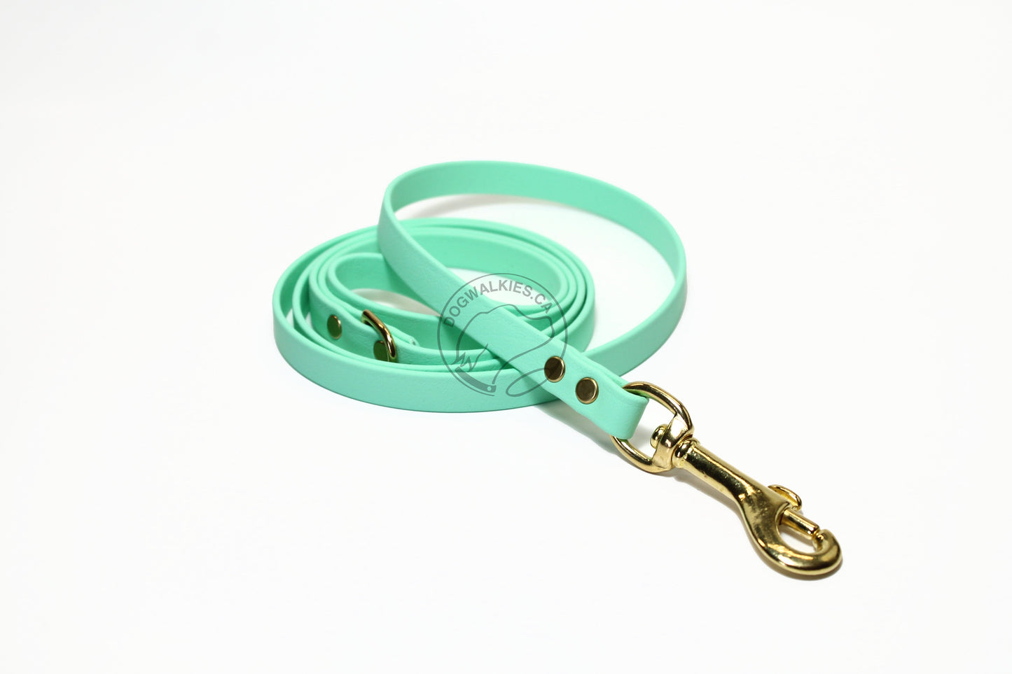Sea Foam Pastel Green Biothane Small Dog Leash