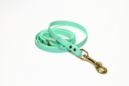Sea Foam Pastel Green Biothane Small Dog Leash