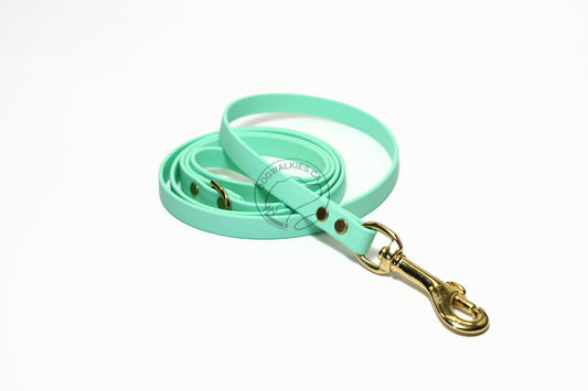 Sea Foam Pastel Green Biothane Small Dog Leash