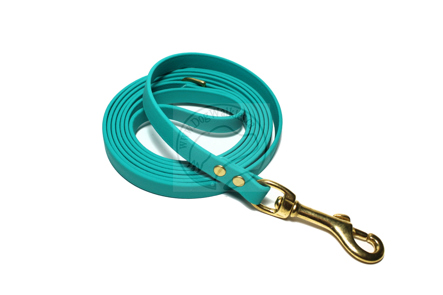 Teal Biothane Small Dog Leash