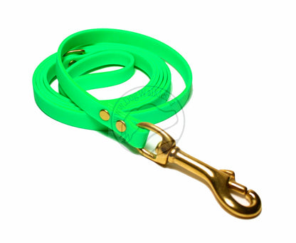 Neon Apple Green Biothane Small Dog Leash