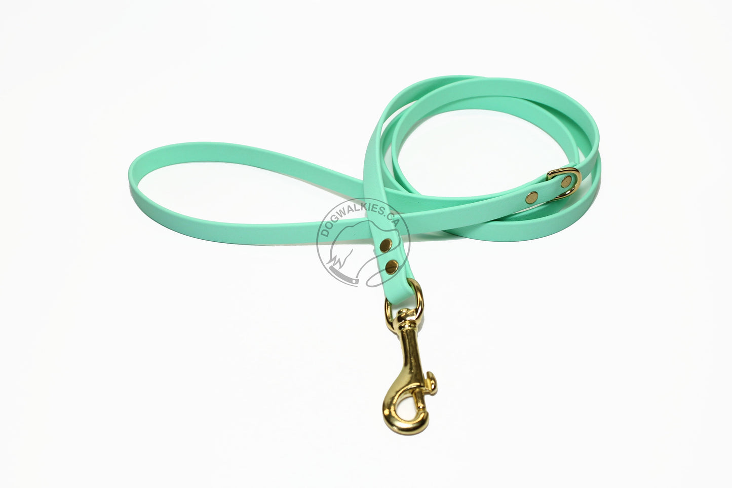 Sea Foam Pastel Green Biothane Small Dog Leash