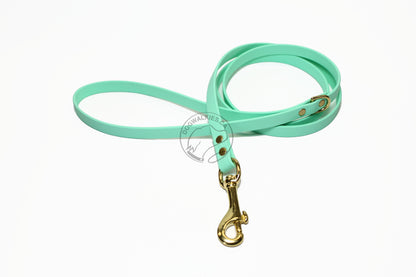 Sea Foam Pastel Green Biothane Small Dog Leash