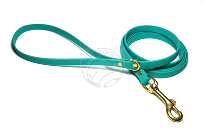 Teal Biothane Small Dog Leash
