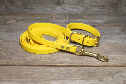 Sunflower Yellow Biothane Small Dog Leash