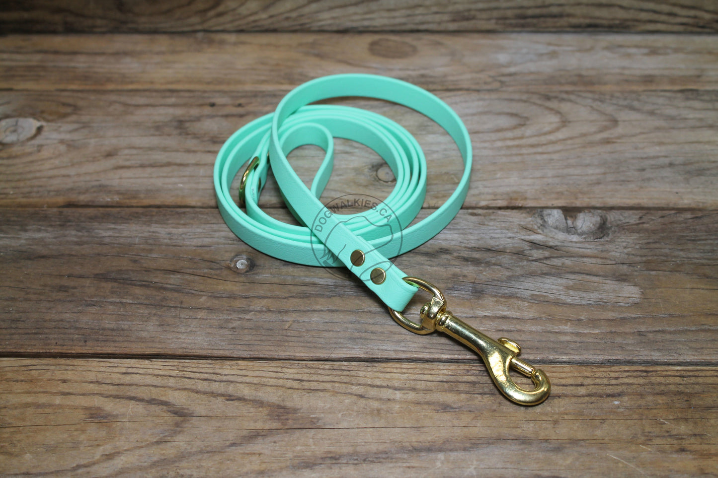 Sea Foam Pastel Green Biothane Small Dog Leash