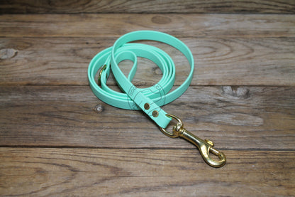 Sea Foam Pastel Green Biothane Small Dog Leash