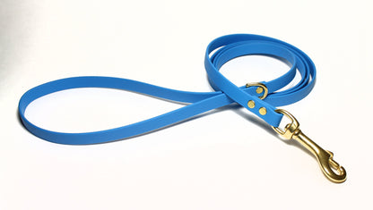 Caribbean Blue Biothane Small Dog Leash