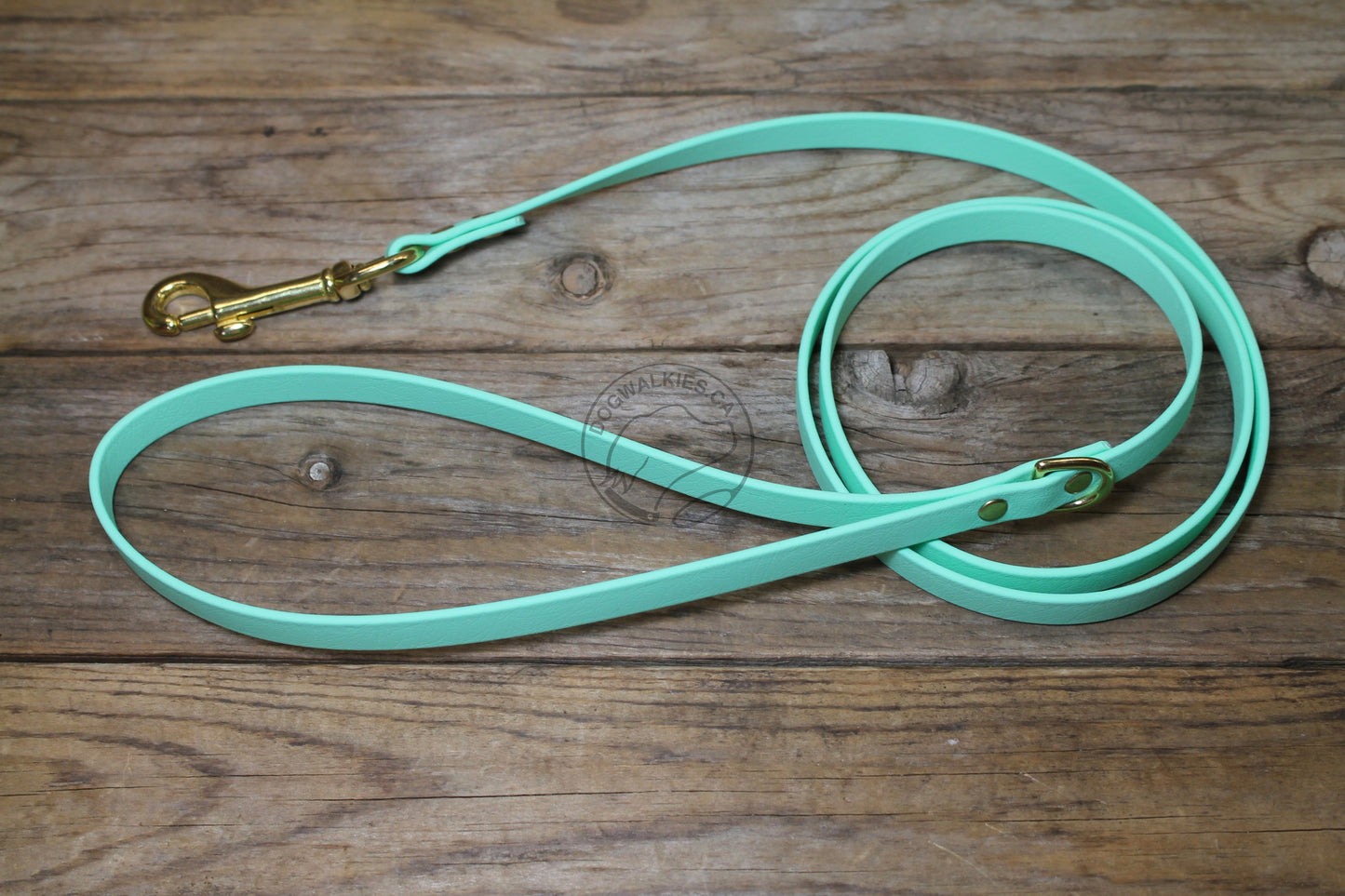 Sea Foam Pastel Green Biothane Small Dog Leash
