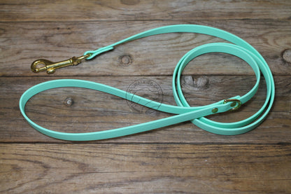 Sea Foam Pastel Green Biothane Small Dog Leash