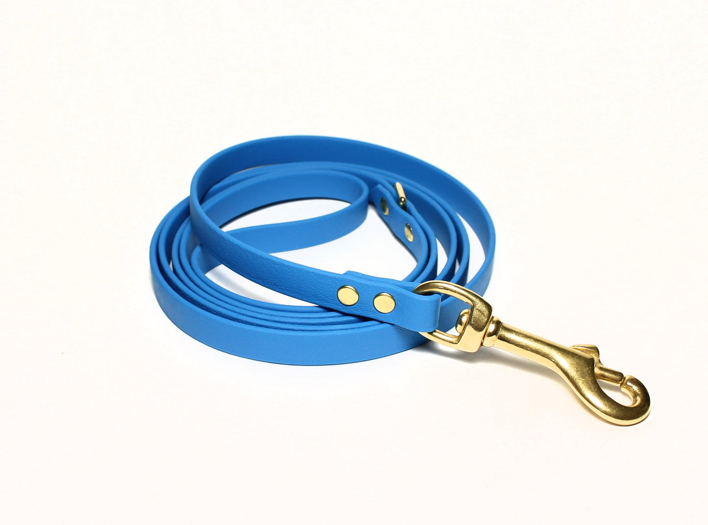 Caribbean Blue Biothane Small Dog Leash