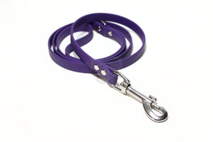 Royal Purple Biothane Small Dog Leash