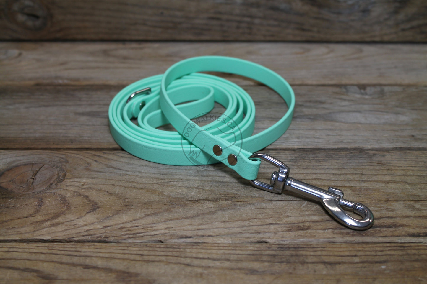 Sea Foam Pastel Green Biothane Small Dog Leash