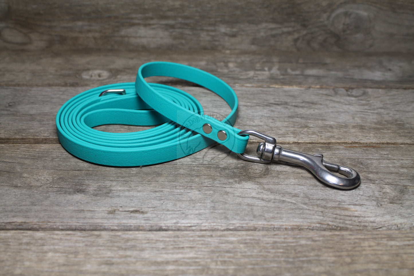 Teal Biothane Small Dog Leash
