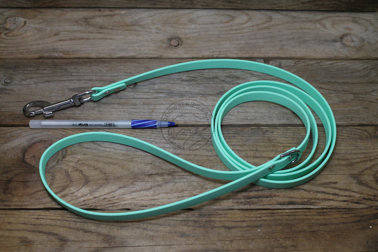 Sea Foam Pastel Green Biothane Small Dog Leash