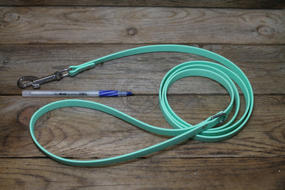 Sea Foam Pastel Green Biothane Small Dog Leash