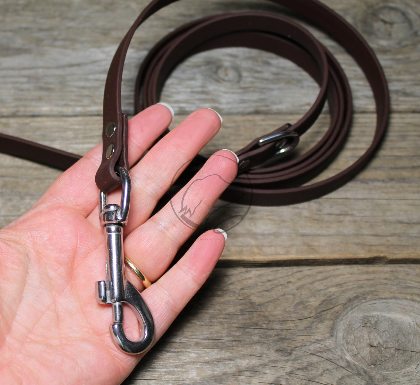 Dark Chocolate Brown Biothane Small Dog Leash