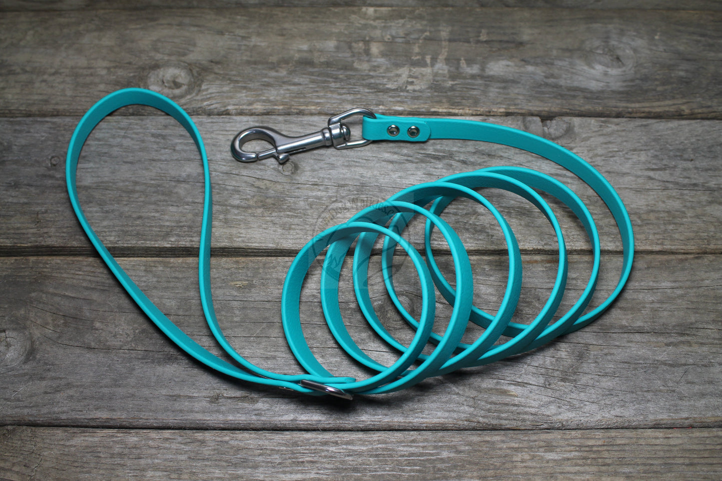 Teal Biothane Small Dog Leash