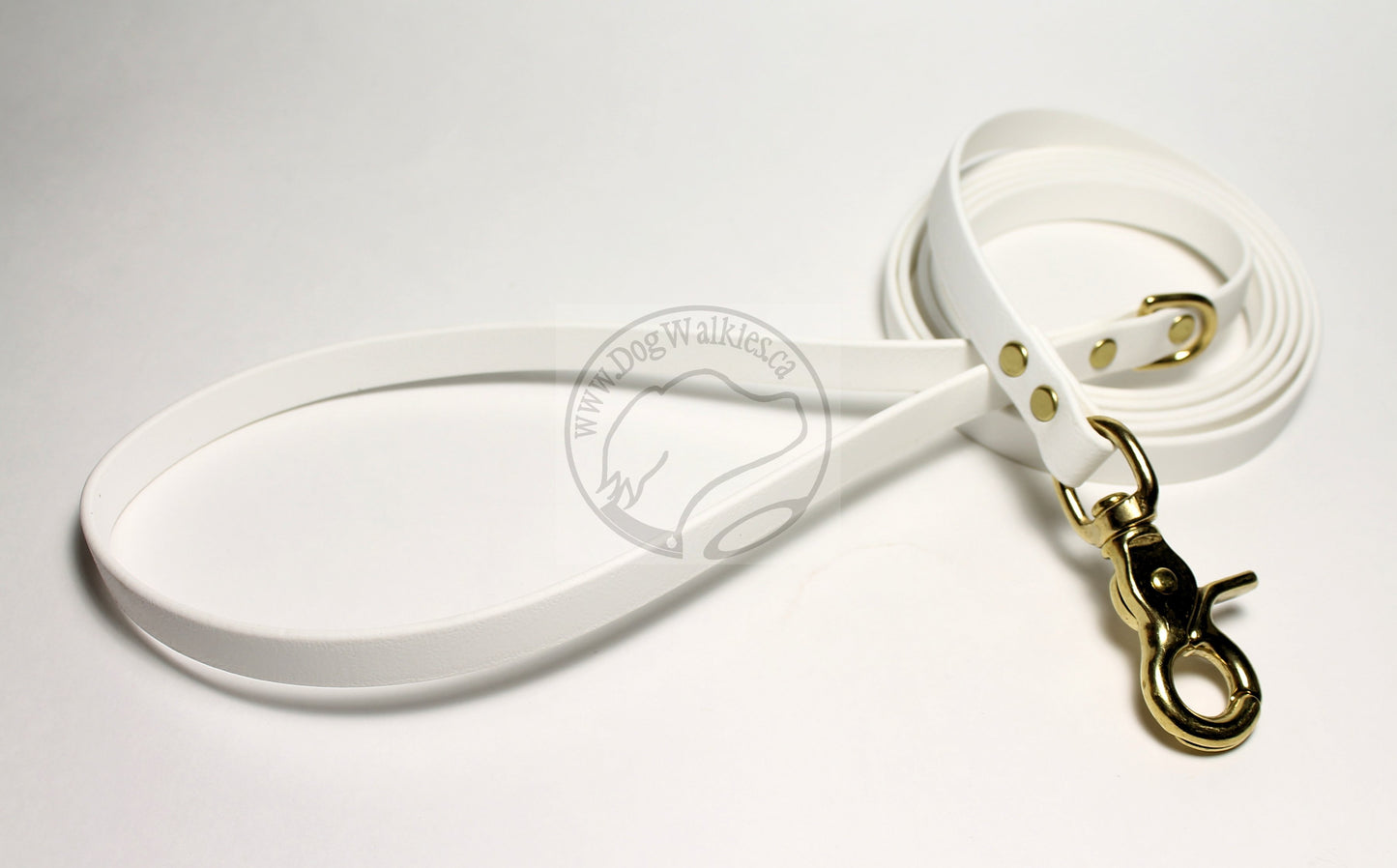 Snow White Biothane Small Dog Leash