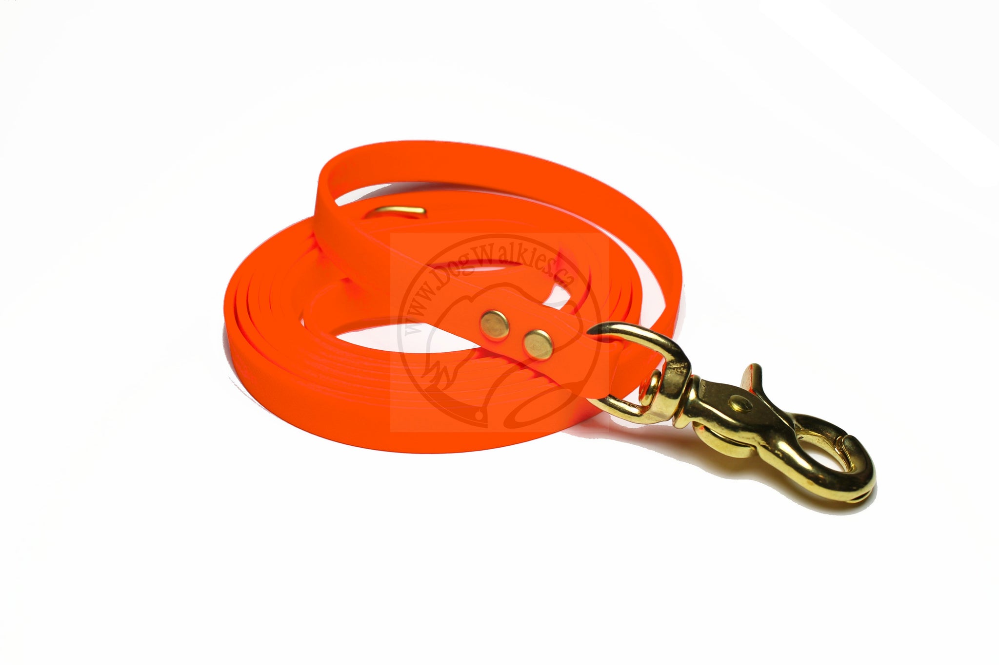 Neon Blaze Orange Biothane Small Dog Leash