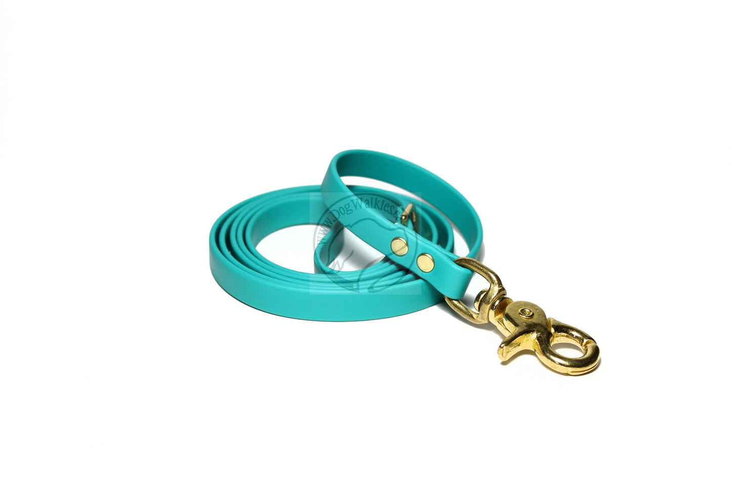 Teal Biothane Small Dog Leash