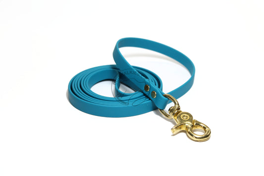 Oasis Blue Biothane Small Dog Leash