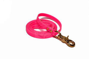 Neon Pink Biothane Small Dog Leash