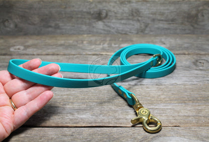 Teal Biothane Small Dog Leash