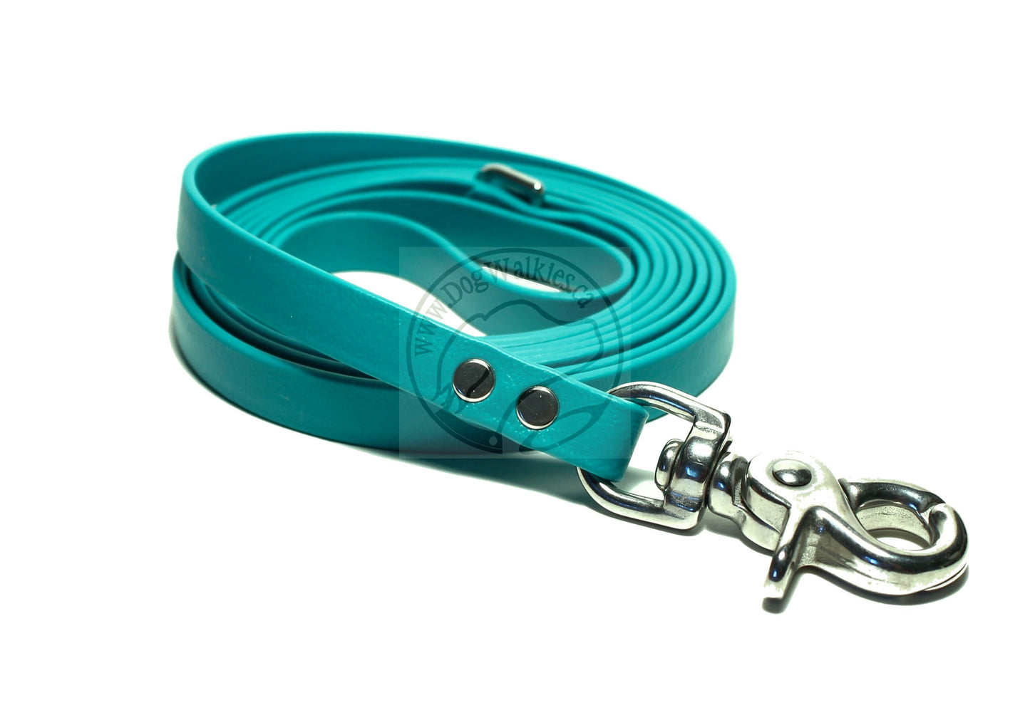 Teal Biothane Small Dog Leash