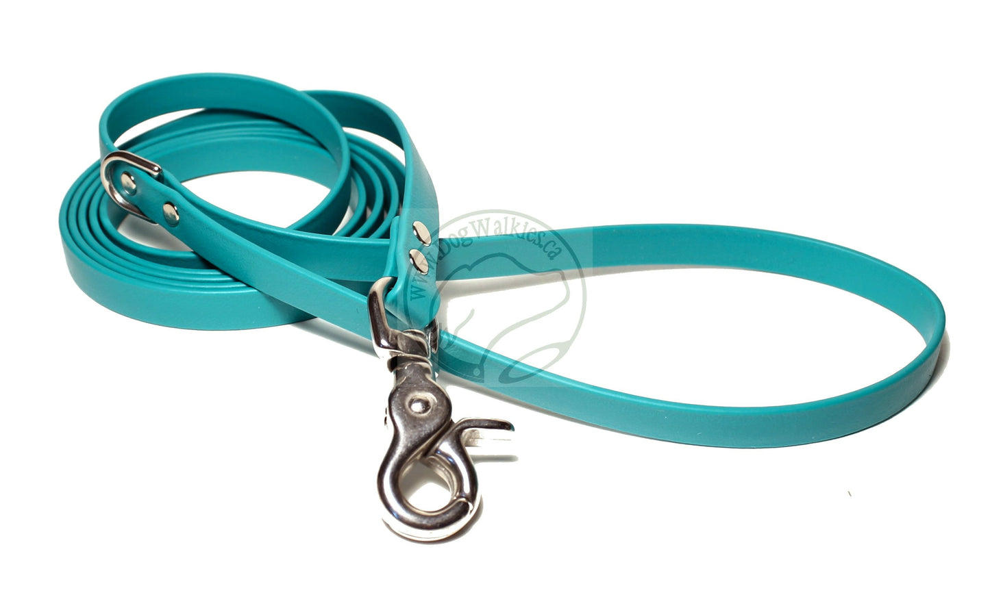 Teal Biothane Small Dog Leash
