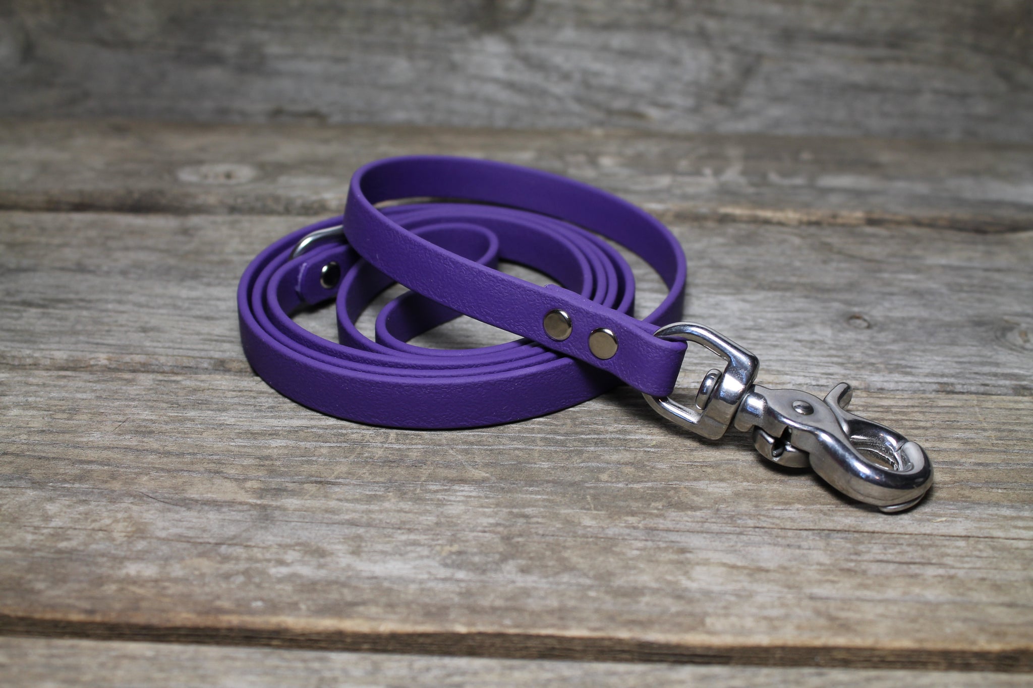 Royal Purple Biothane Small Dog Leash