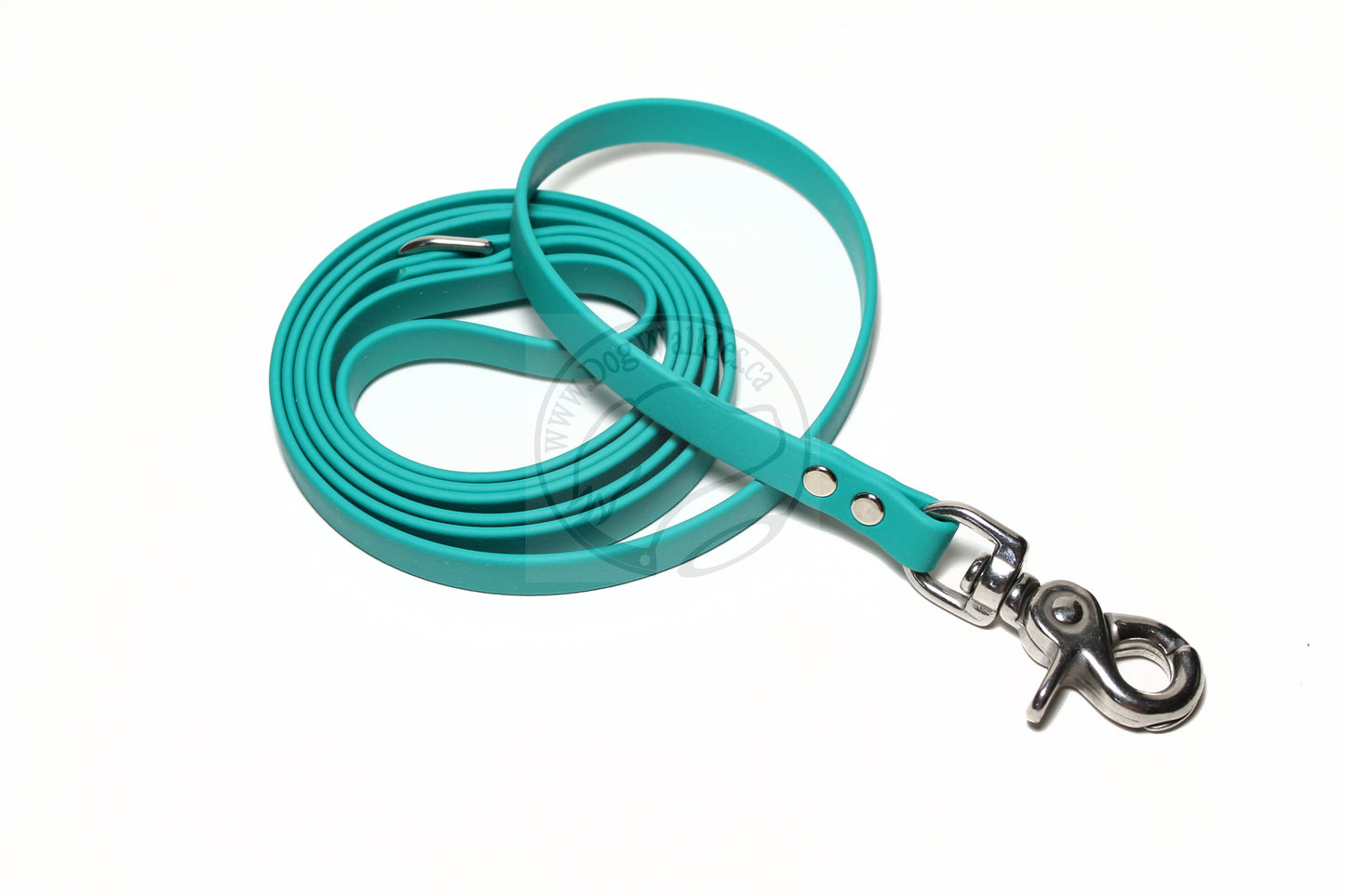 Teal Biothane Small Dog Leash