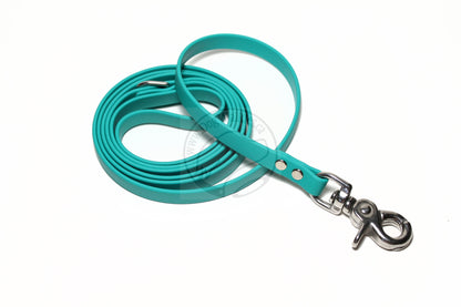 Teal Biothane Small Dog Leash