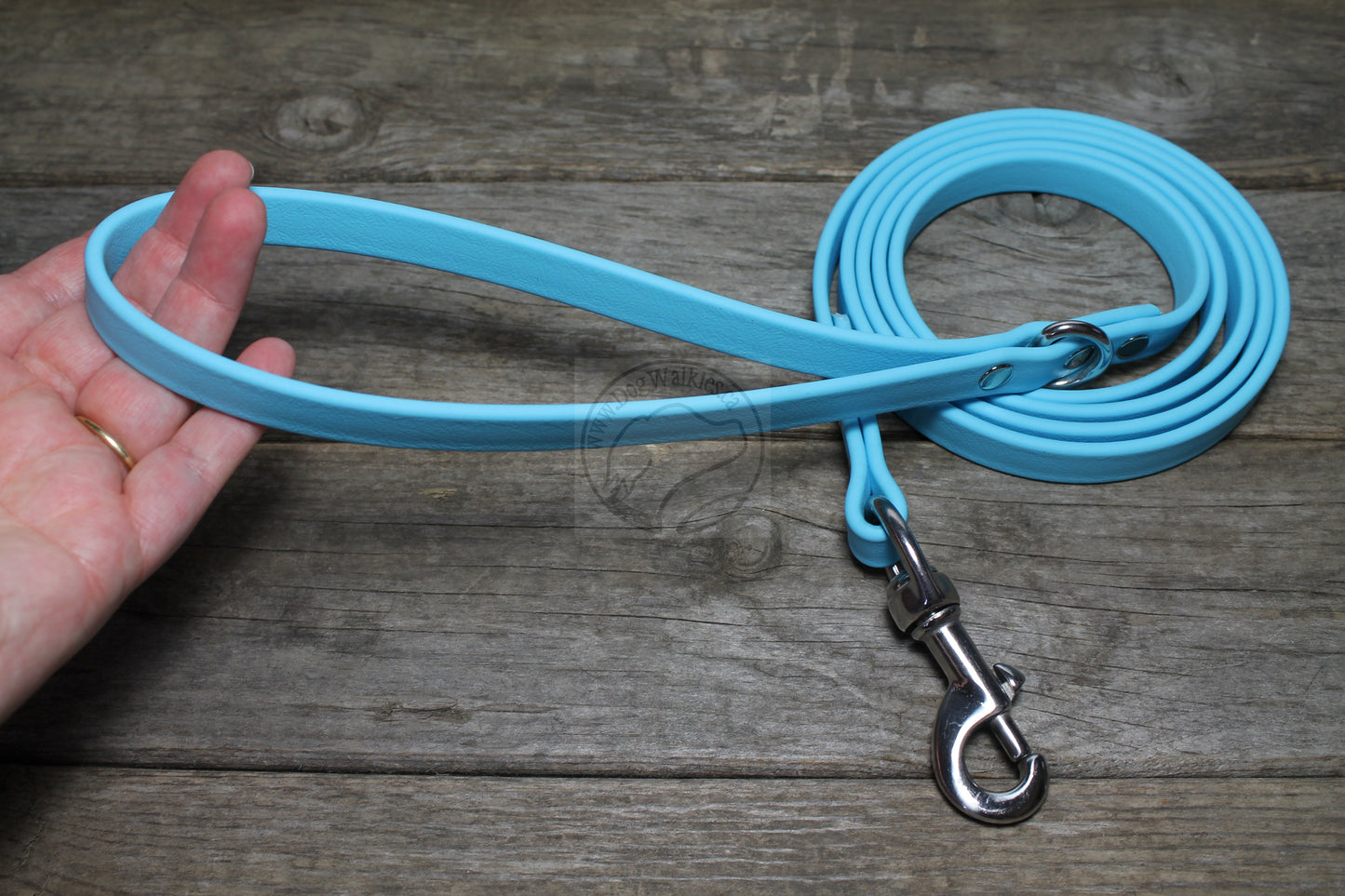 Frozen Blue Biothane Dog Leash - Regular 16mm (5/8") width