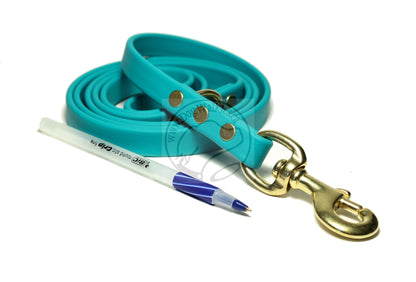 Teal Biothane Dog Leash - Regular 16mm (5/8") width