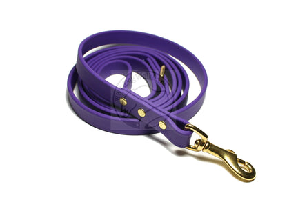 Royal Purple Biothane Dog Leash - Regular 16mm (5/8") width